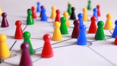 importância do networking